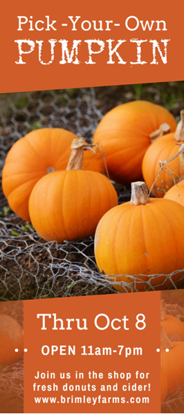 Pumpkin patch fundraiser flyer example - missionprint.com  